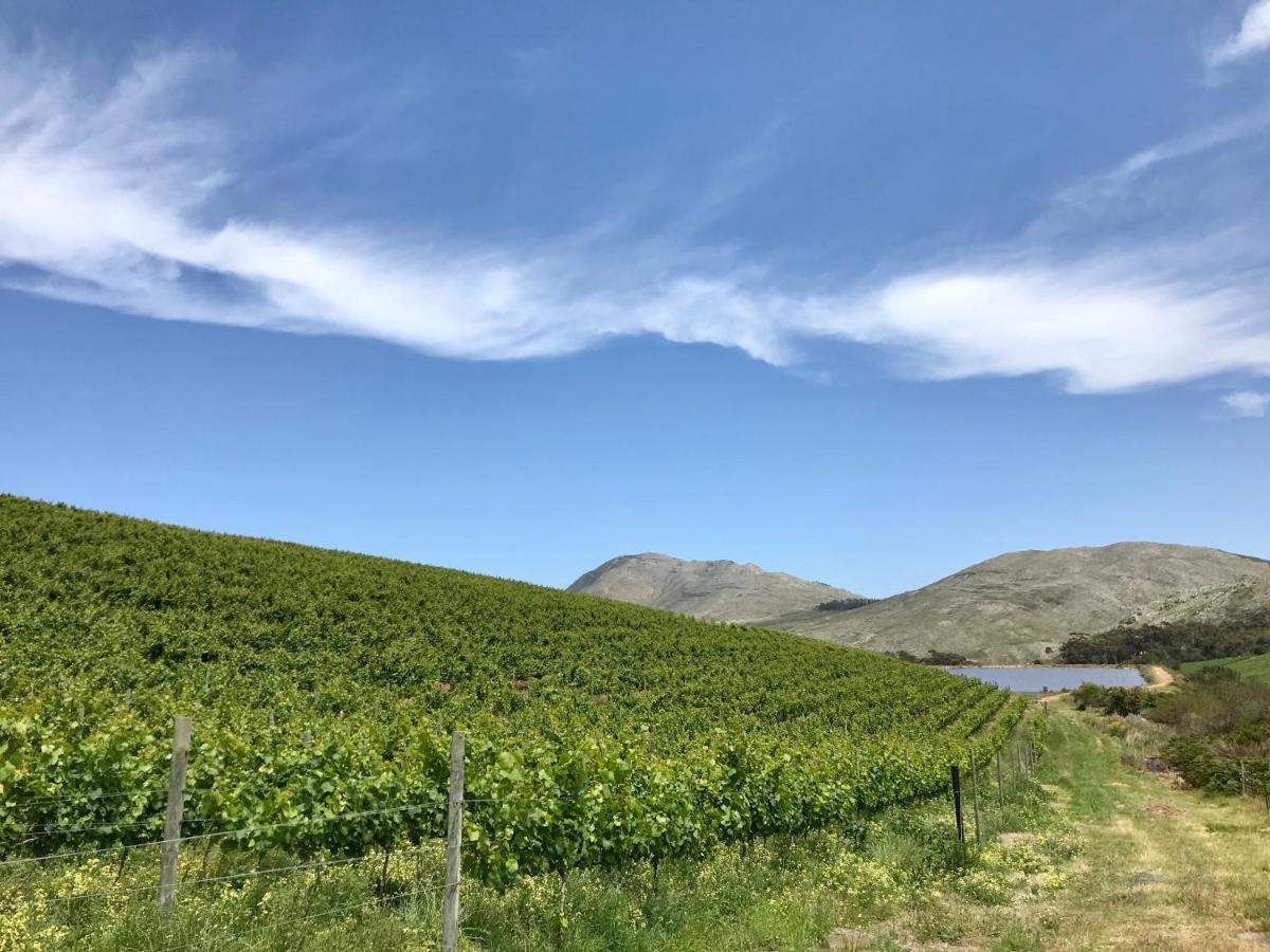Kleine Vrede Farm Cottage Hermanus Ngoại thất bức ảnh