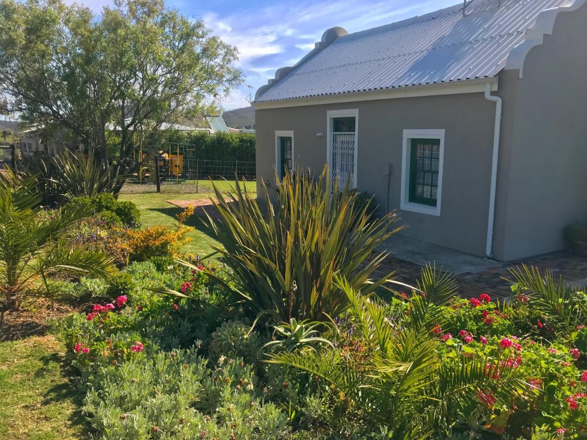 Kleine Vrede Farm Cottage Hermanus Ngoại thất bức ảnh