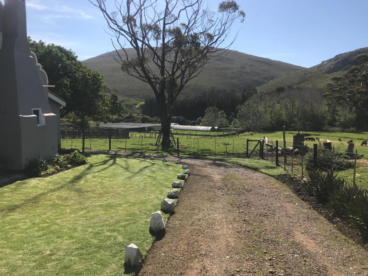 Kleine Vrede Farm Cottage Hermanus Ngoại thất bức ảnh