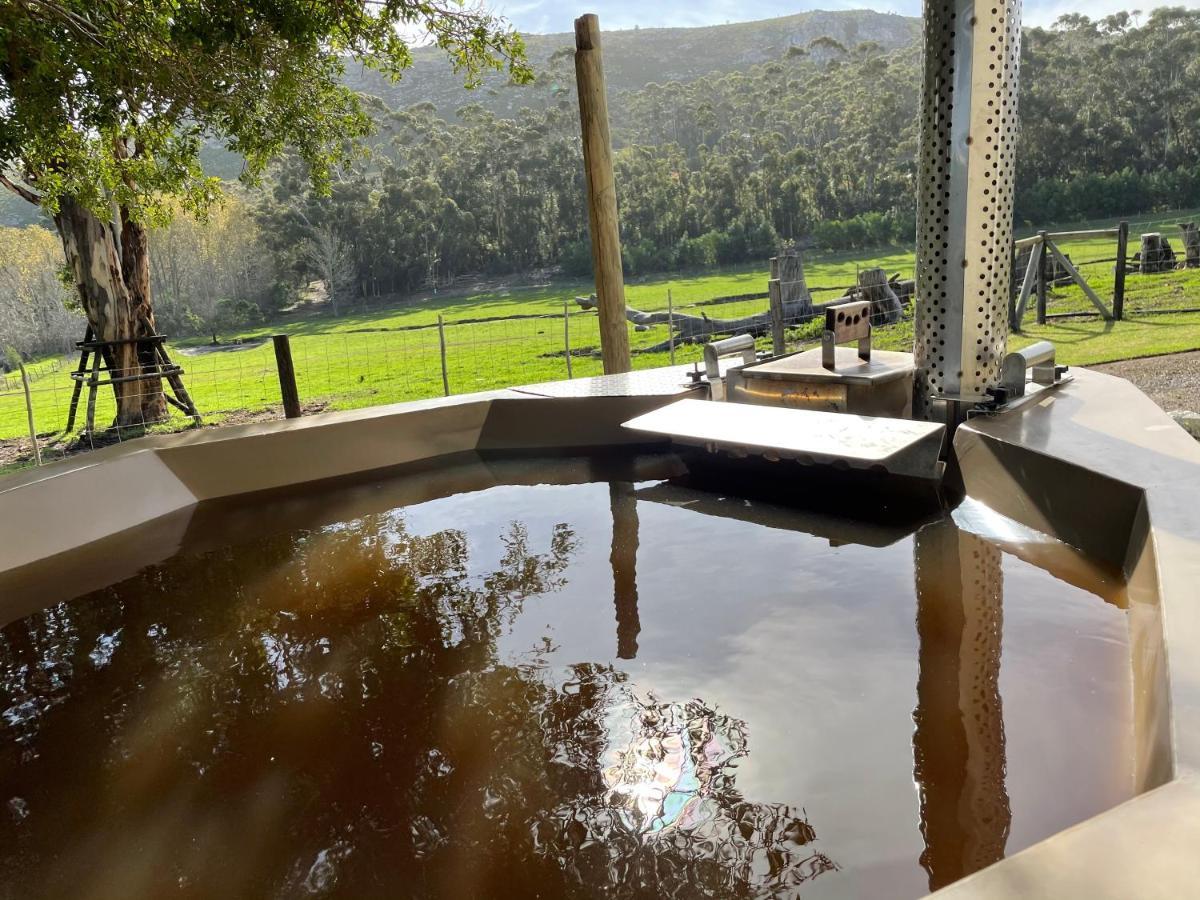 Kleine Vrede Farm Cottage Hermanus Ngoại thất bức ảnh