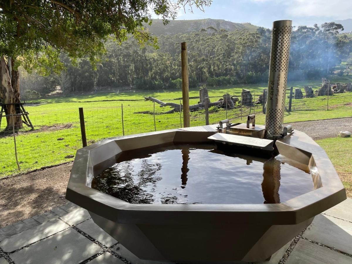 Kleine Vrede Farm Cottage Hermanus Ngoại thất bức ảnh
