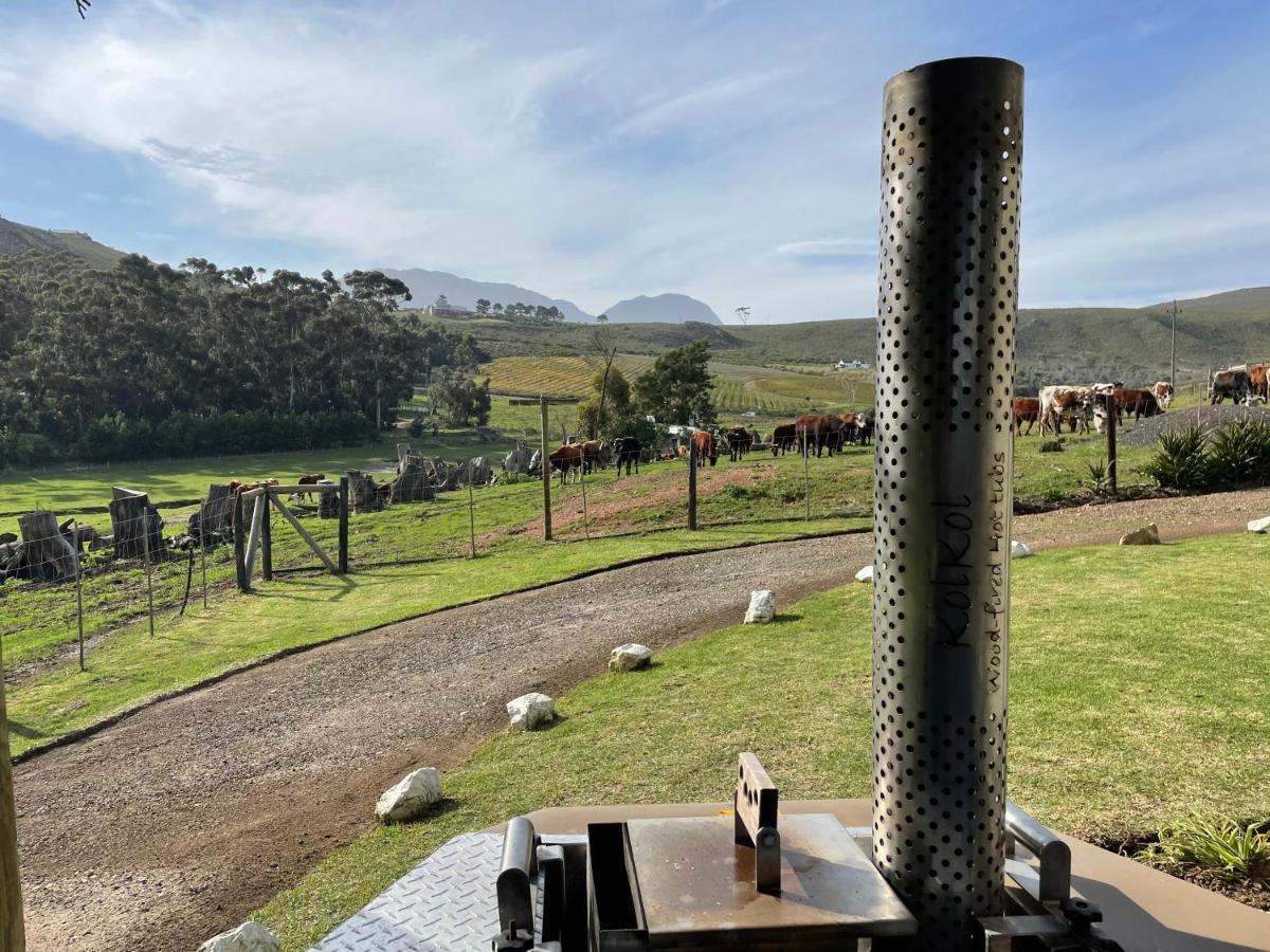 Kleine Vrede Farm Cottage Hermanus Ngoại thất bức ảnh
