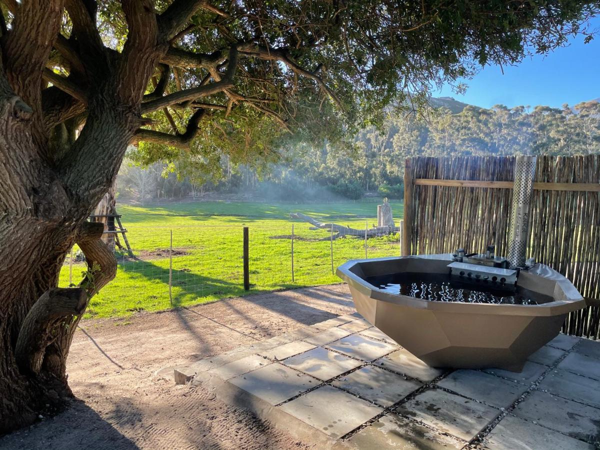 Kleine Vrede Farm Cottage Hermanus Ngoại thất bức ảnh